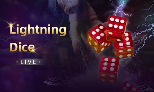 Lightning Roulette Game